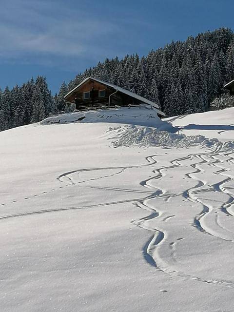 Chalet für 15 Personen, mit Ausblick und Garten in Hippach - 3