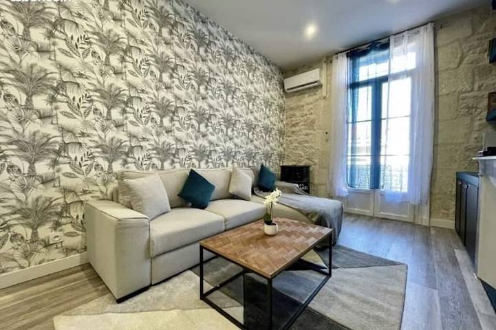 Appartement entier, Montpellier : superbe appartement de charme in Montpellier, Côte méditerranéenne (France)