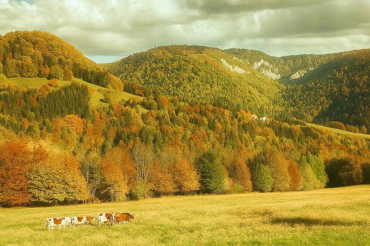 Location de vacances pour 6 personnes à Vaucluse (Doubs)