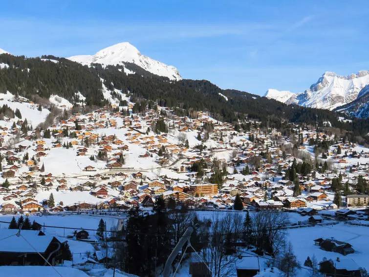 Ganze Wohnung, 2 Pièces 2 Personnes in Vers-l'Église, Ormont-Dessus (Les Diablerets)