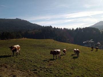 Ferienhaus für 5 Personen in Baiersbronn, Nordschwarzwald, Bild 3