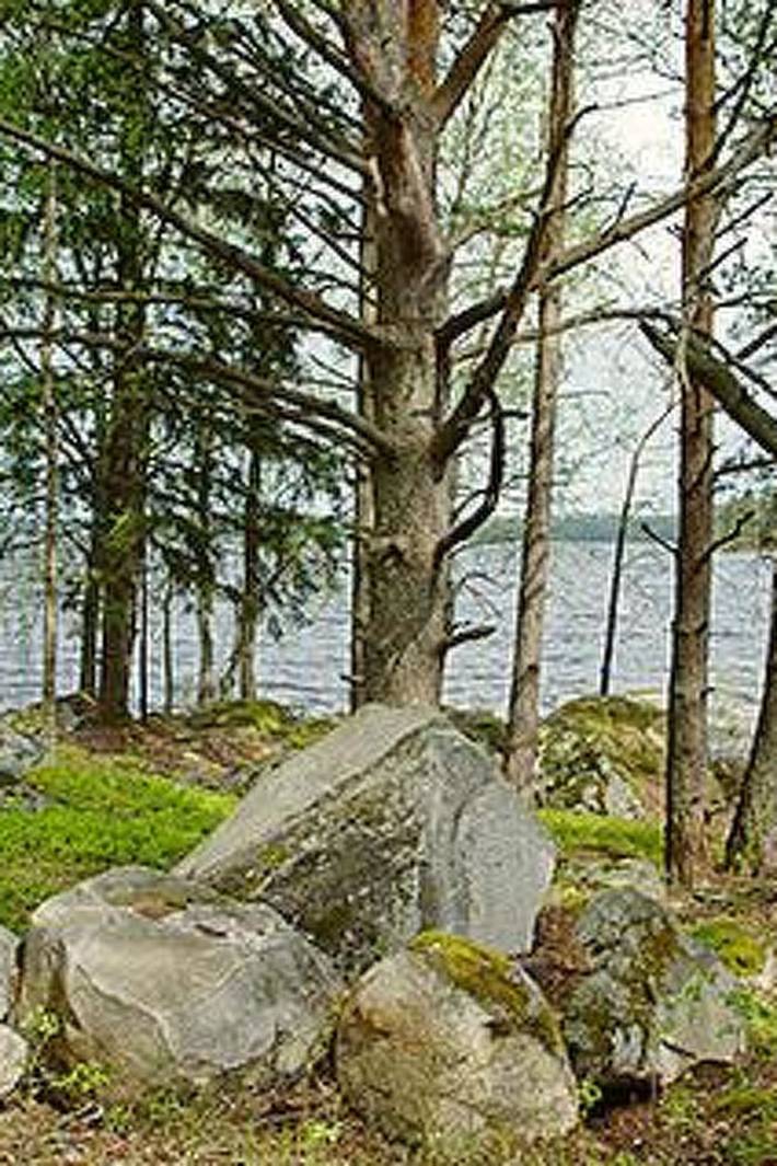 Mäntyniemi in Asikkala, Päijät-Häme