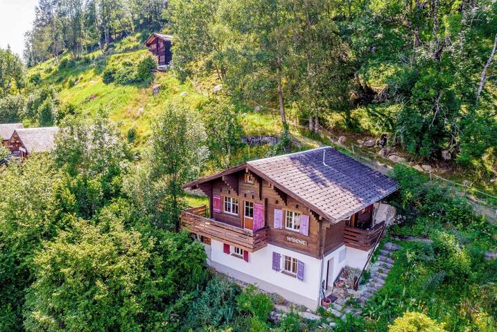 Ferienhaus für 7 Personen, mit Garten und Terrasse, mit Haustier in Fiesch