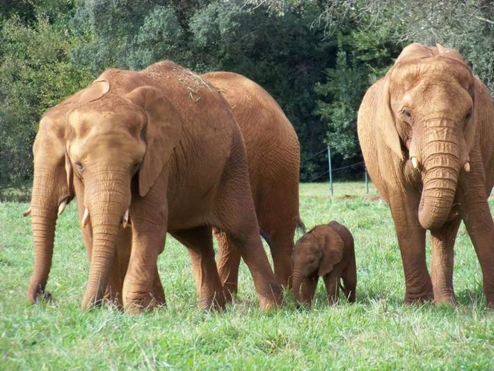 Casa rural para 10 personas, con jardín y piscina en Besaya - 3
