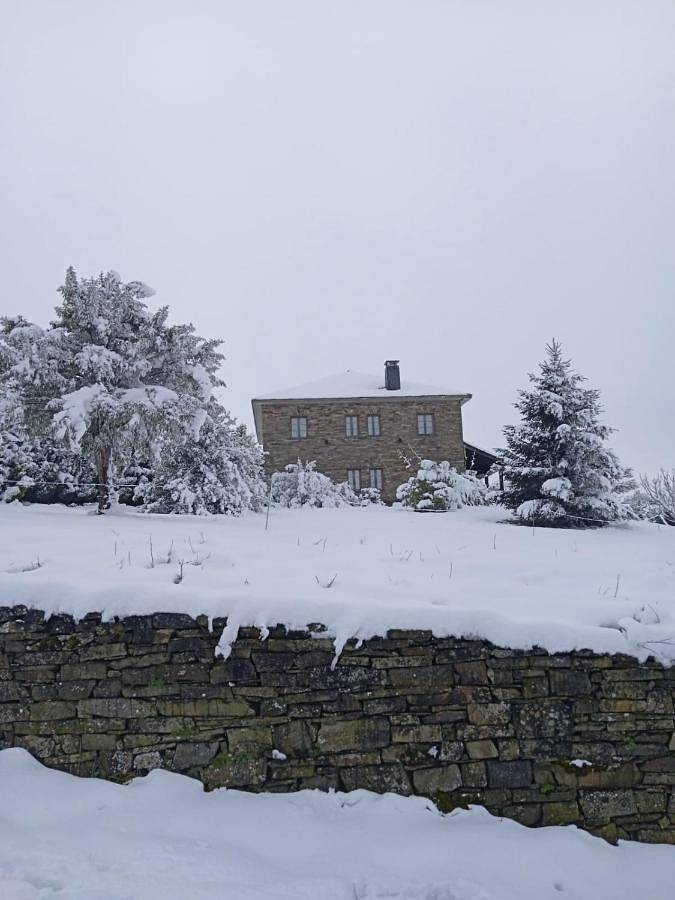 Holiday apartment for 4 people, with terrace and garden as well as view, with pets - 1