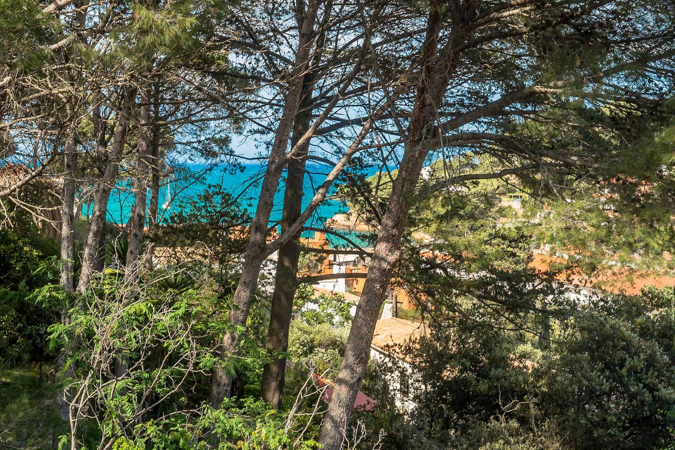 Ganze Wohnung, Maisonette-Wohnung am Strand von Sa Riera in Sa Riera, Begur