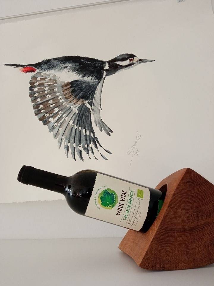 Ganze Ferienwohnung, Fewo Zwergseeschwalbe - Ostsee at its best! in Schönberg, Südliche Ostseeküste