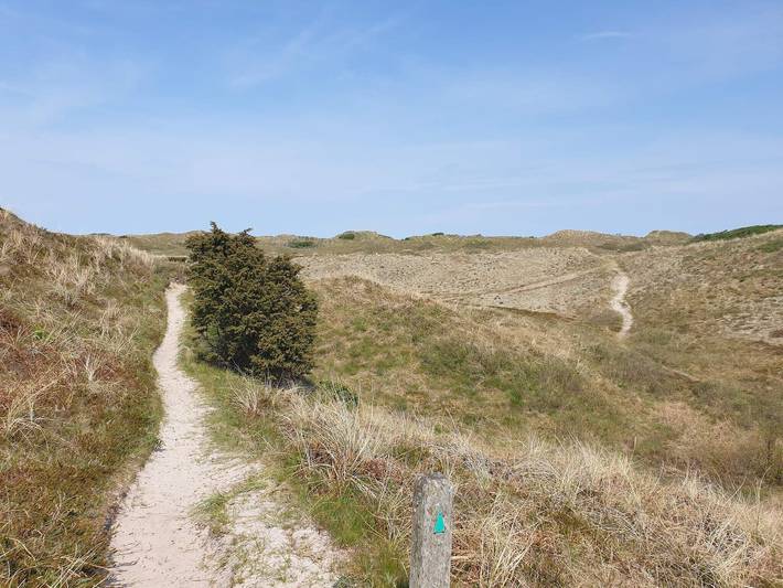 6 Personen Ferienhaus in Bindslev in Tversted, Tannisbucht