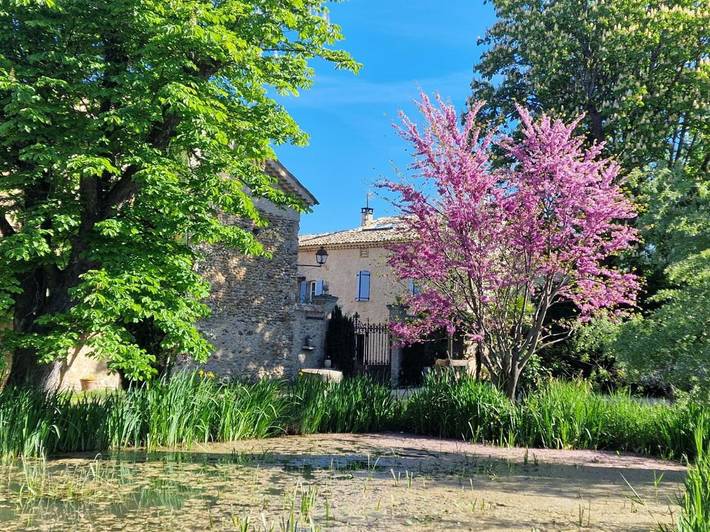 Location de vacances pour 4 personnes, avec vue ainsi que jardin et piscine, animaux acceptés à Valensole - 3