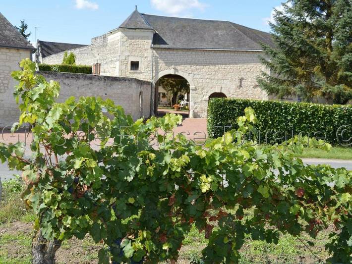 Location de vacances pour 4 personnes, avec Terrasse à Ligré - 2