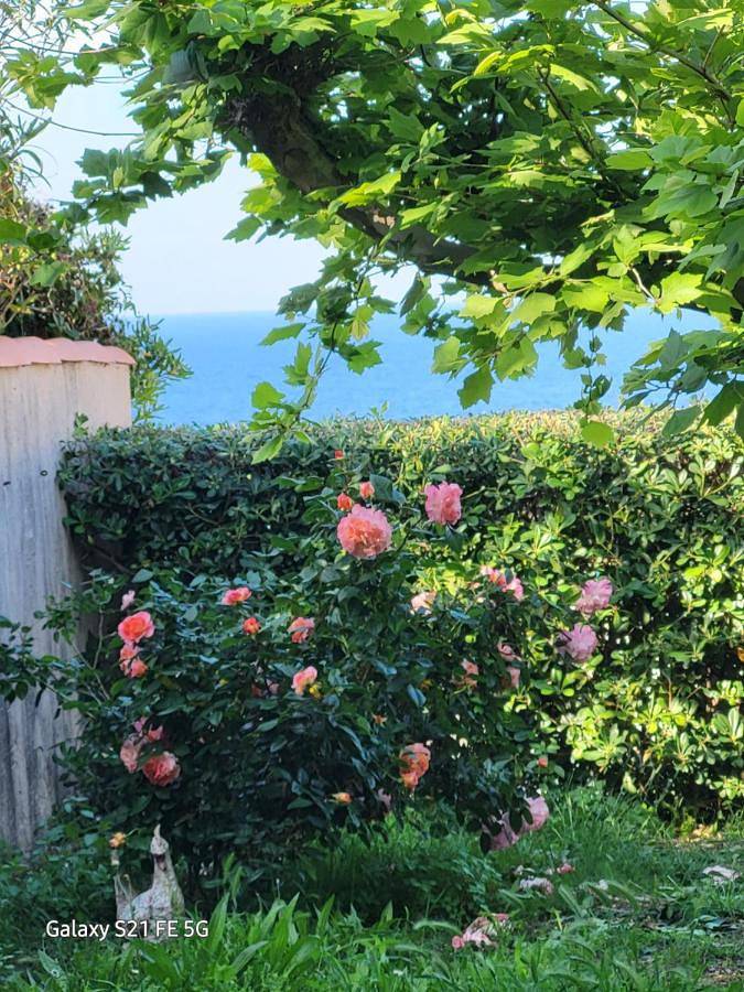 Chez Isabelle in Luri, Cap Corse