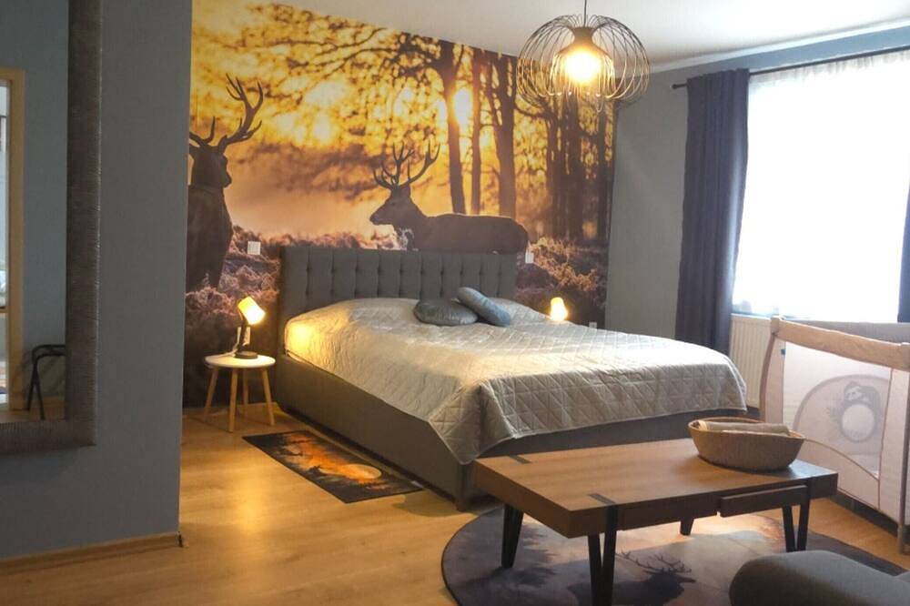 Holiday Home Thesaurum - Four Bedroom Holiday Home with Swimming Pool in Osijek-Baranja