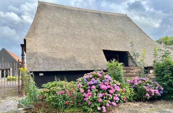 Vakantiewoning voor 4 personen, met Terras en Uitzicht in Dwingeloo