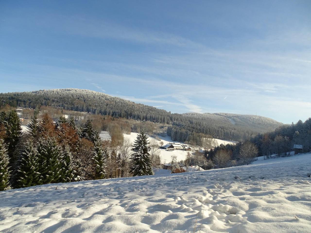 Ferienwohnung Lindenhof - aktivcard-Fewo 85qm mit Terrasse (online buchbar) in Sankt Englmar, Baviera Oriental