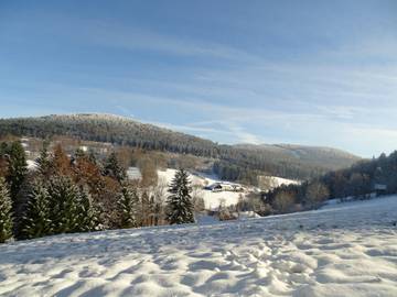 Ferienhaus für 5 Personen in Sankt Englmar, Ostbayern, Bild 4