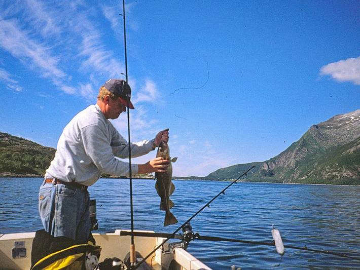 Ferienhaus für 5 Personen, mit Terrasse und Garten, kinderfreundlich in Tröndelag - 3