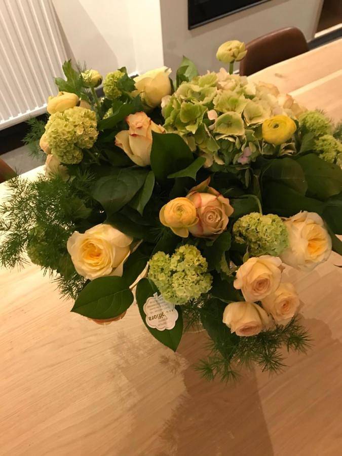 Chambre d’hôte pour 2 personnes, avec sauna et terrasse à Furnes - 3