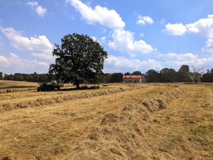 Location de vacances pour 6 personnes, avec jardin ainsi que vue et sauna, animaux acceptés à Pepinster - 2