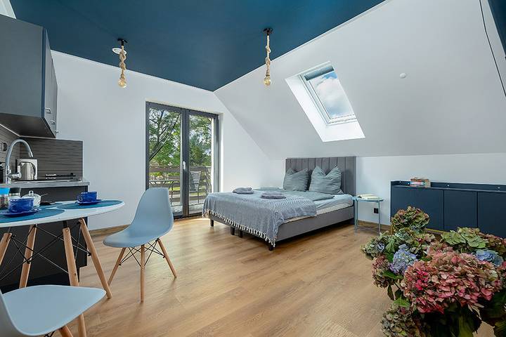 Ganze Ferienwohnung, Pl 011.216 Studio Meer in Swinemünde, Stettiner Haff