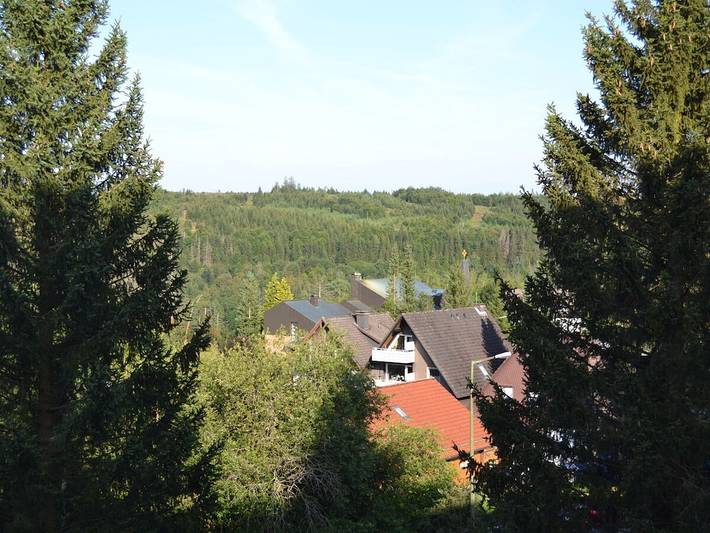 Ferienhaus für 4 Personen, mit Balkon/Terrasse und Balkon, mit Haustier in Altenau - 2
