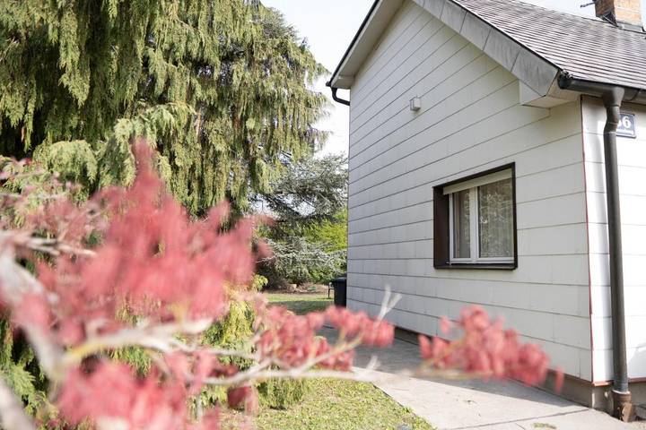 Ferienhaus für 10 Personen, mit Garten, mit Haustier in Wien - 2