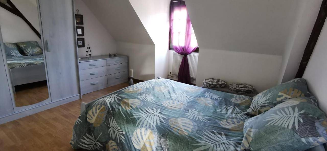 Cosy Romorantin entre Beauval et Center Parc in Romorantin-Lanthenay, Sologne