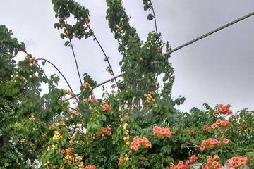 Agriturismo per 5 Persone in Provincia di Taranto, Foto 1