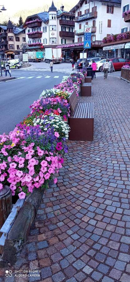 Gîte pour 4 personnes, avec terrasse et vue à San Martino di Castrozza - 2