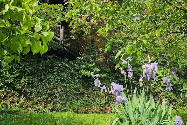 Gîte pour 2 personnes, avec piscine à Saint-Hippolyte-du-Fort - 4