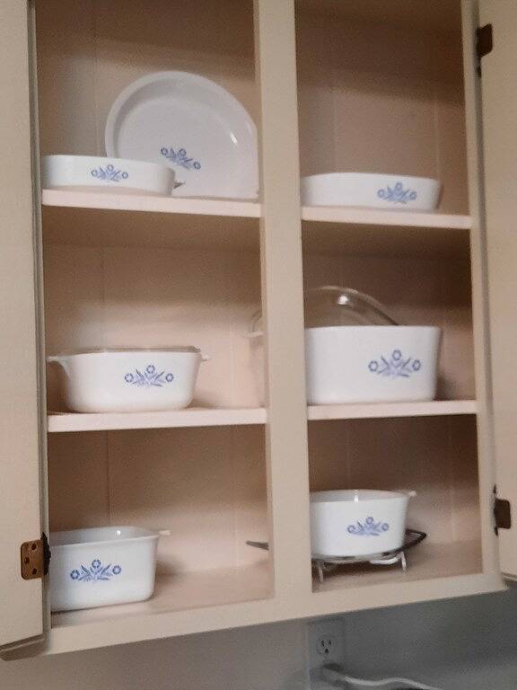 Waterfront home for you and your furry friends. in Lake Gaston