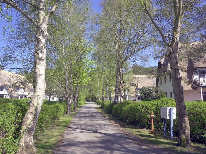 Ferienwohnung für 4 Personen, mit Meerblick und Balkon in Zingst - 2