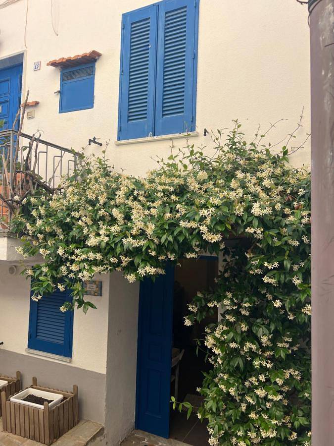 Appartamento intero, Casa Magica Ogliastro in Ogliastro Marina, Castellabate