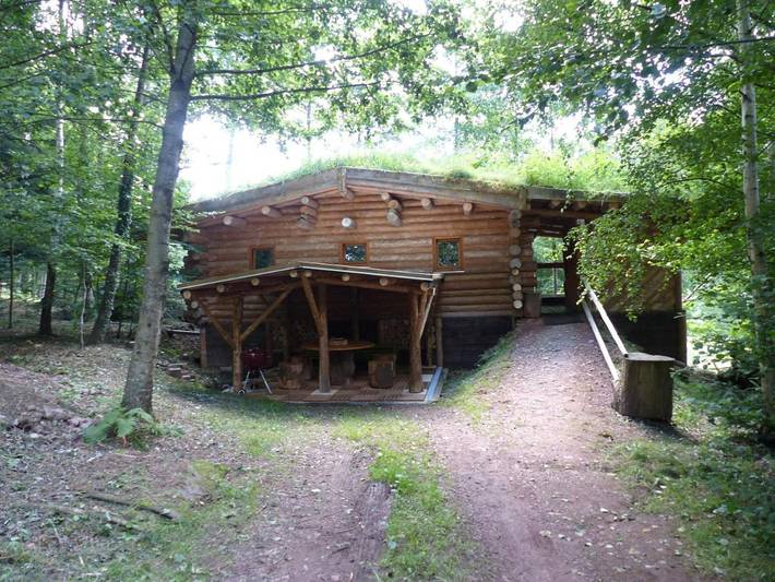 Gîte pour 5 personnes, avec vue ainsi que sauna et jardin à Tendon (Vosges) - 2