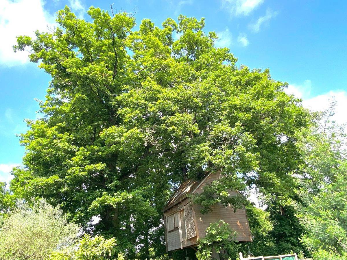 One-Bedroom Chalet in Villebon-sur-Yvette, Essonne