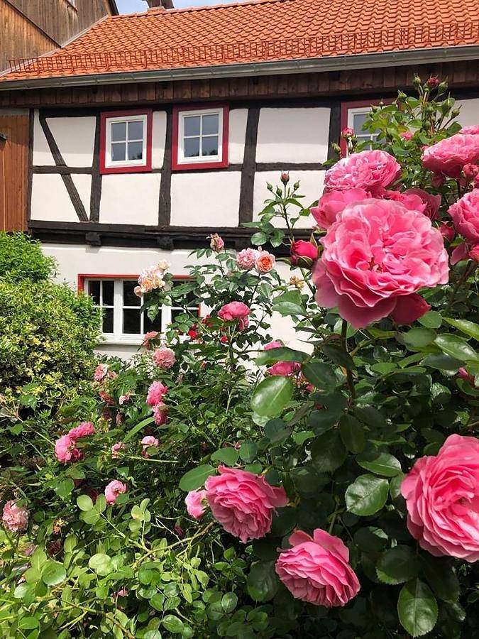 Ferienhaus für 6 Personen, mit Terrasse und Garten in Blankenburg