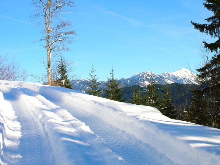 Oberbach in Göstling an der Ybbs, Mostviertel