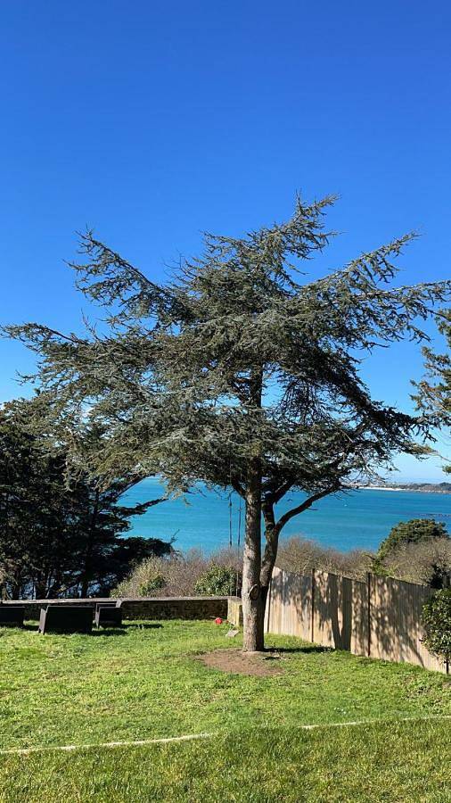 Maison vue exeptionnelle sur la mer in Lancieux, Région de Dinan
