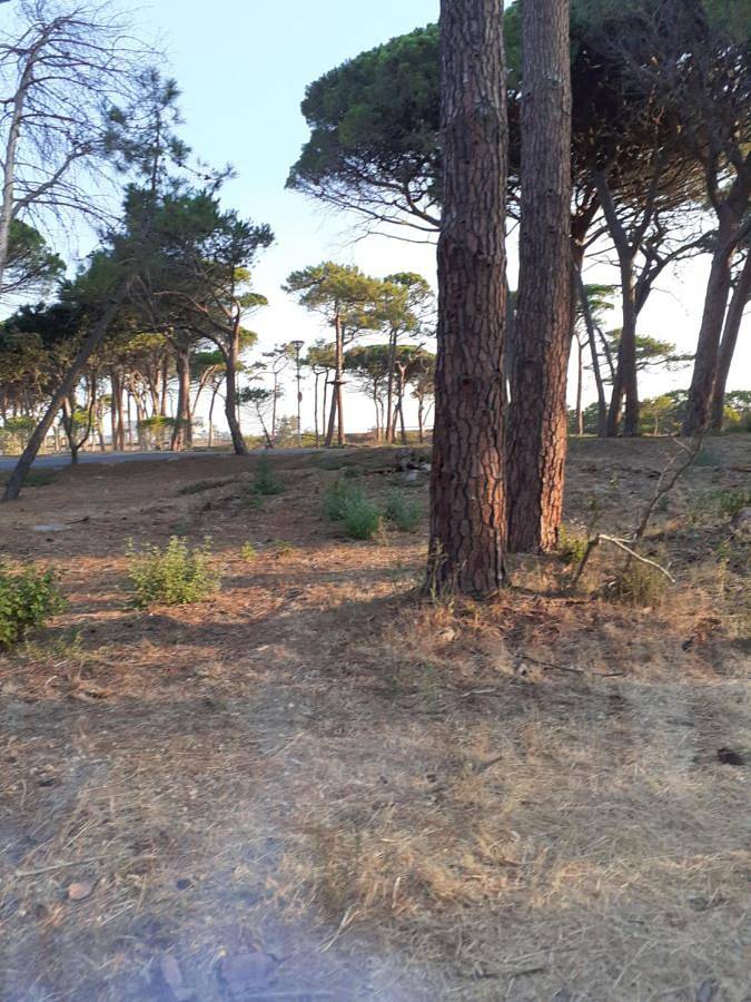 Tent in Calvi, Calvi und Umgebung