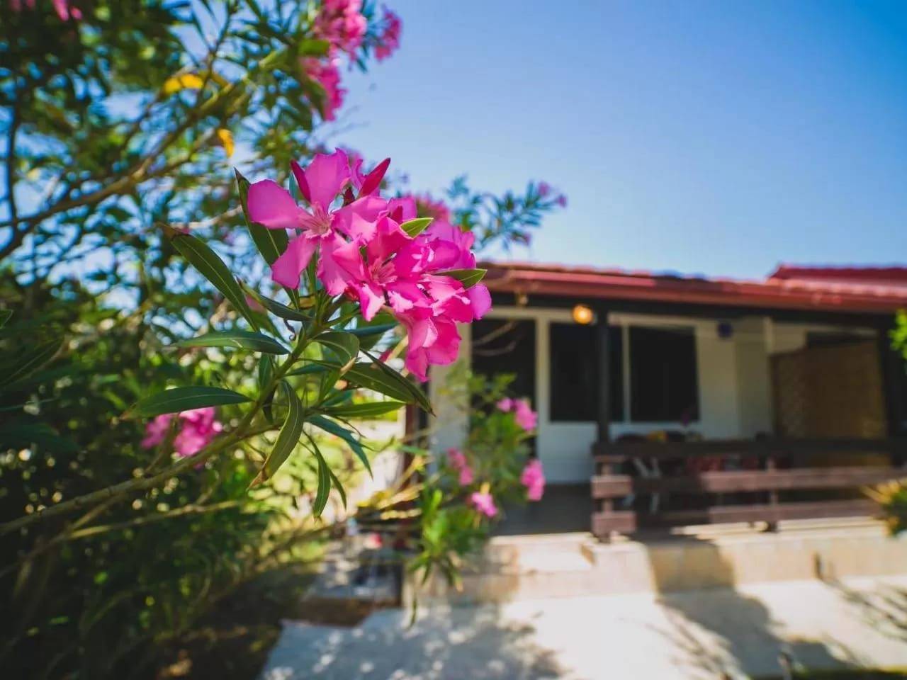 Ganze Wohnung, Gelassenheit am Meer 3 in Zukve, Zadar
