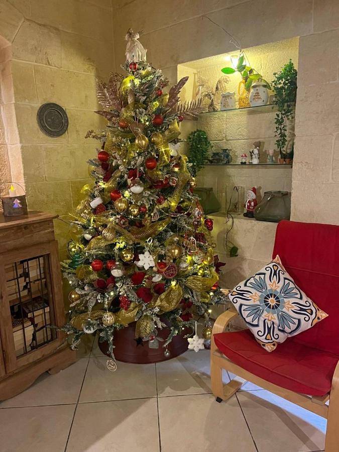 Location de vacances pour 10 personnes, avec piscine et jardin, animaux acceptés dans Sannat - 4