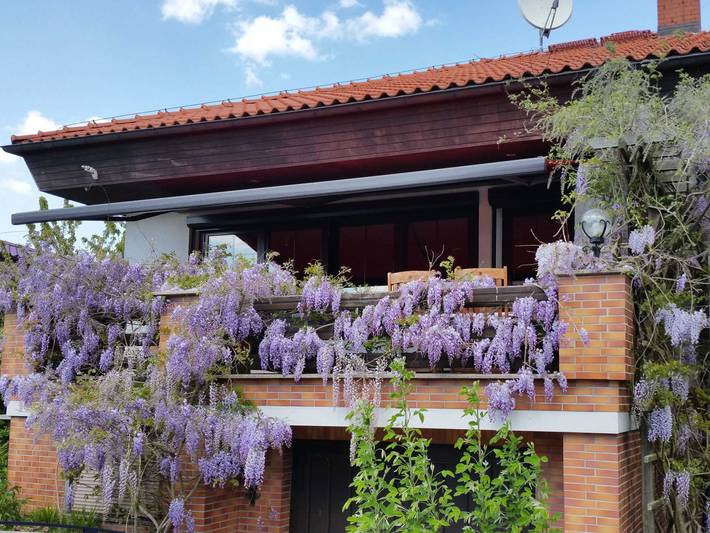 Ferienwohnung für 2 Personen, mit Garten in Warnow - West