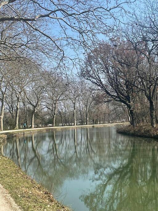 Gîte pour 2 personnes, avec jardin et terrasse à Villefranche-de-Lauragais - 4