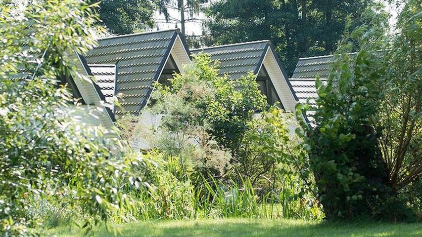 Ferienwohnung für 5 Personen, mit Terrasse in Mecklenburg-Schwerin - 4