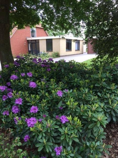 B&b voor 2 personen, with Terras and Tuin as well as Zwembad and Uitzicht in Flevoland
