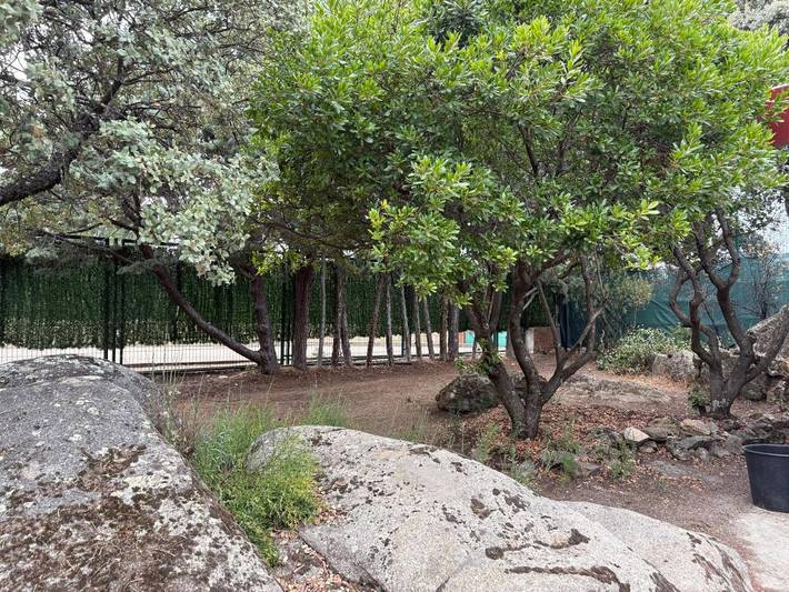 Casa rural para 3 personas, con Terraza y Jardín en Galapagar - 2