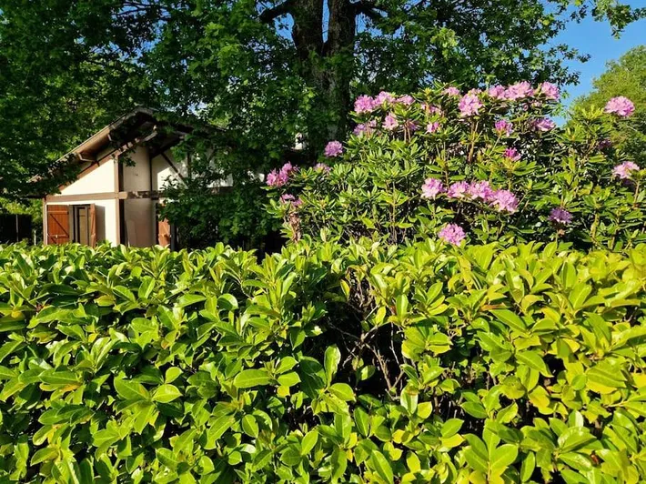 Ferienhaus für 4 Personen, mit Terrasse und Garten, mit Haustier - 1