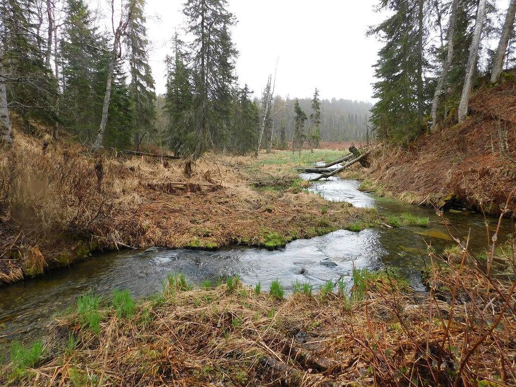Creekside Cottage in der Nähe von Daniel's Lake in Kenai Peninsula