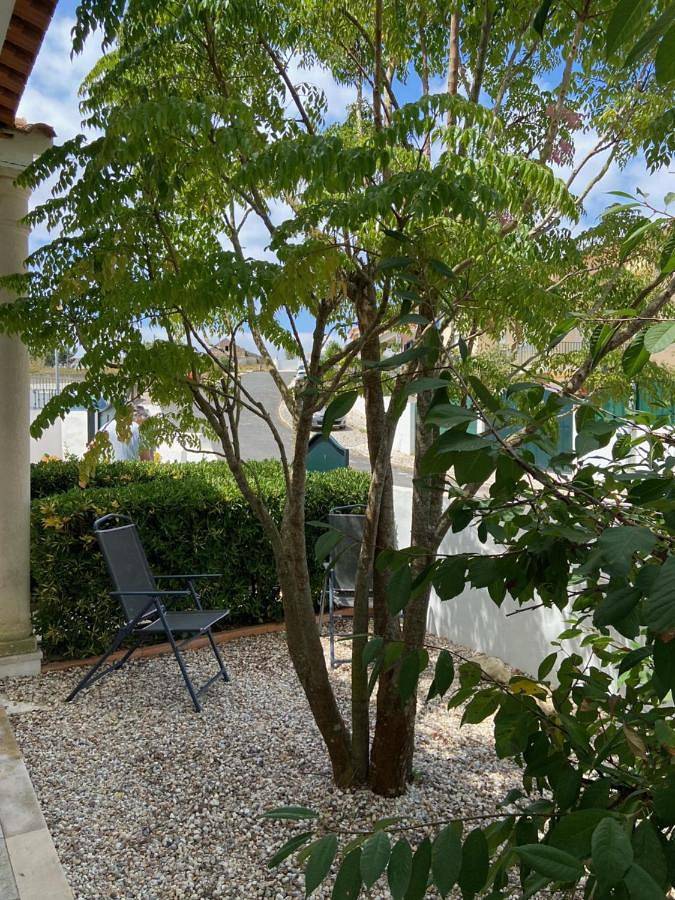 Casa do Canto - Uma casa no campo, perto da praia. in Óbidos, Leiria distrito