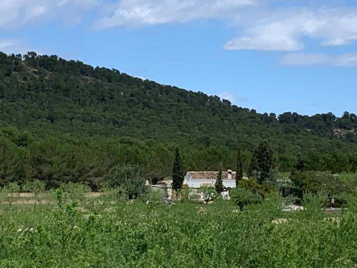 Casa rural para 7 personas, con jardín y vistas, Se admiten mascotas en Río Mula