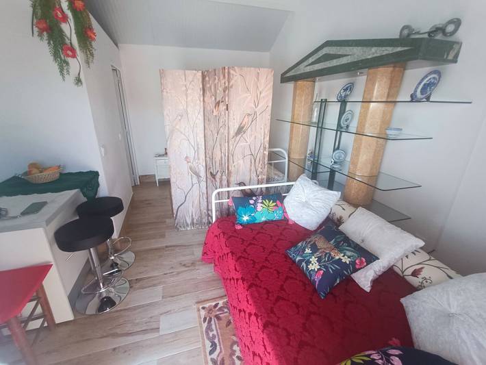 Apartamento estúdio para 3 pessoas, com jardim, com animais de estimação em Distrito de Castelo Branco